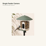 Single Feeder Camera