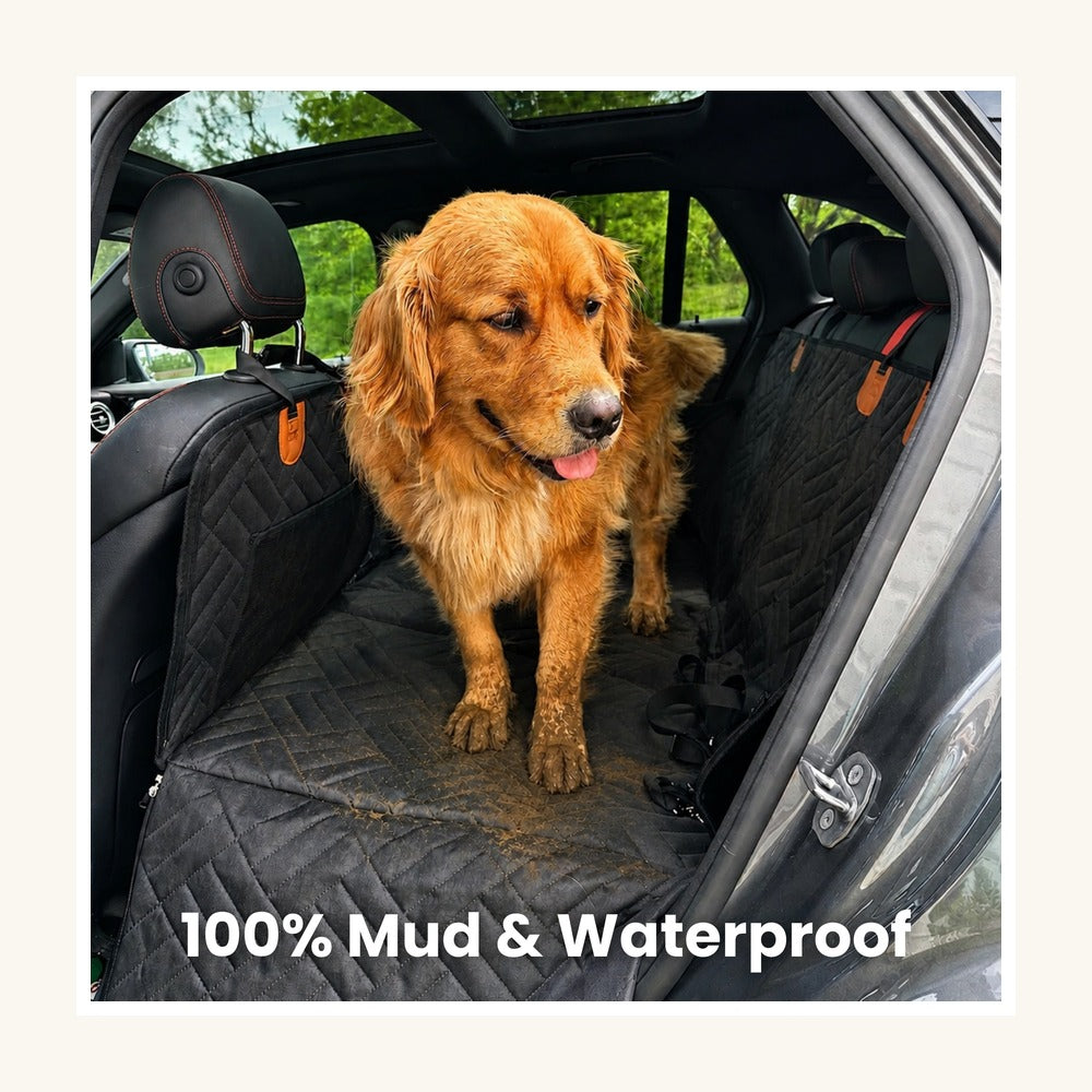Hard-Bottom Dog Car Seat Cover