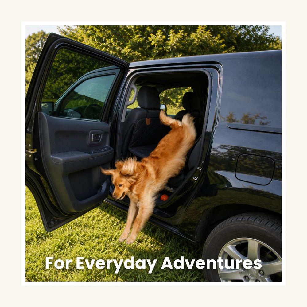 Hard-Bottom Dog Car Seat Cover