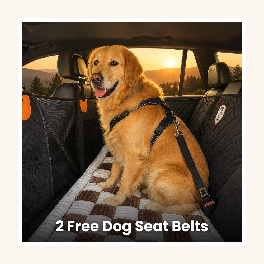 Hard-Bottom Dog Car Seat Cover