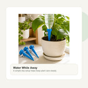 Automatic Plant Watering Spikes image 9