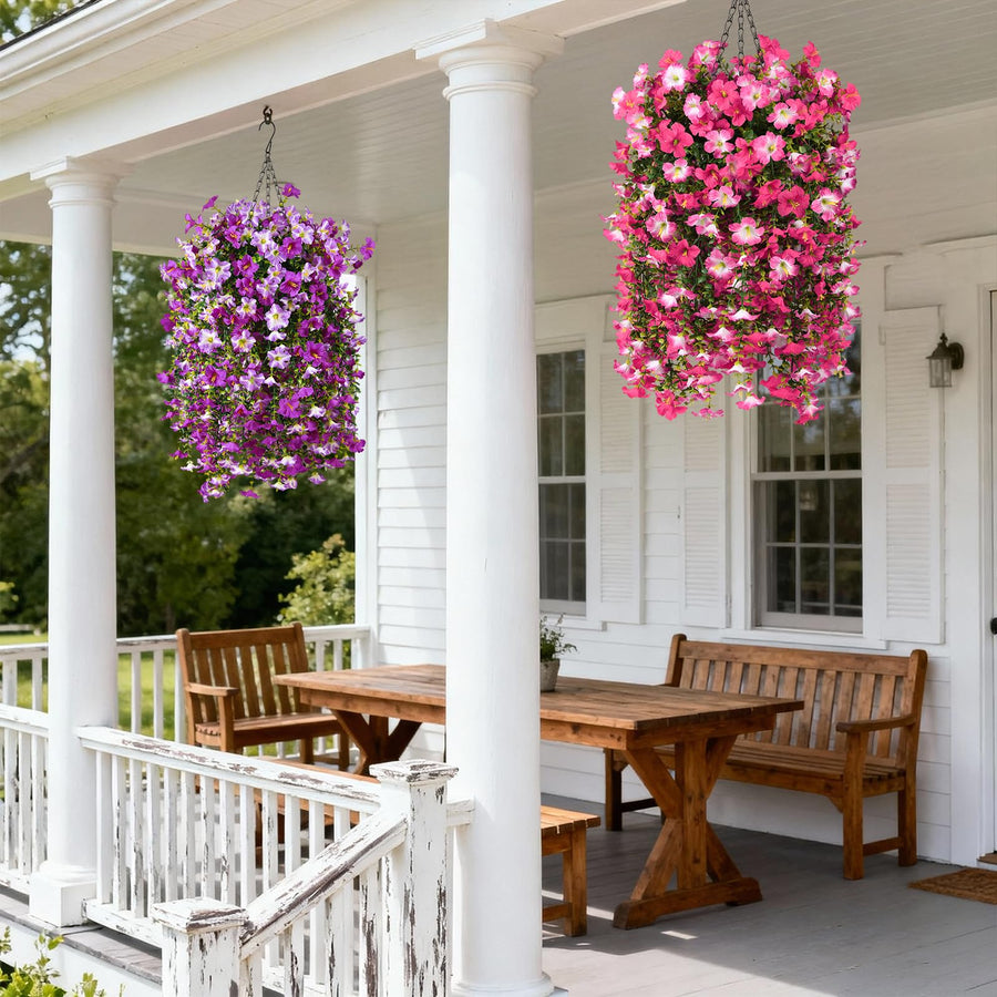 Morning Glory Hanging Vines