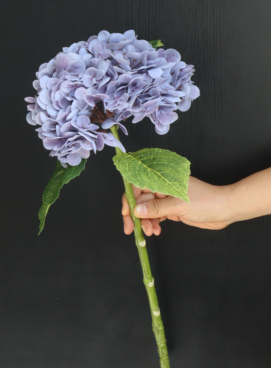 Hydrangea Flower Stems