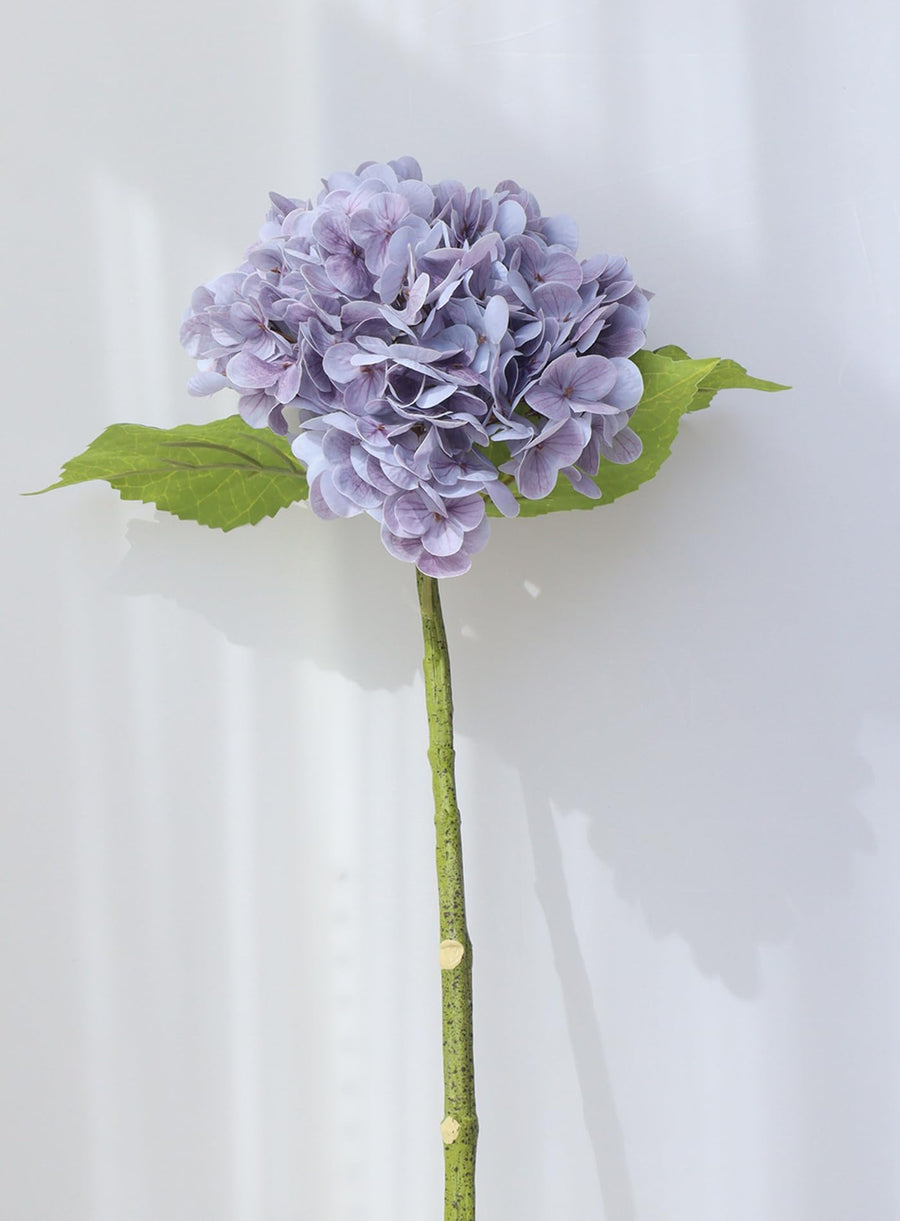 Hydrangea Flower Stems