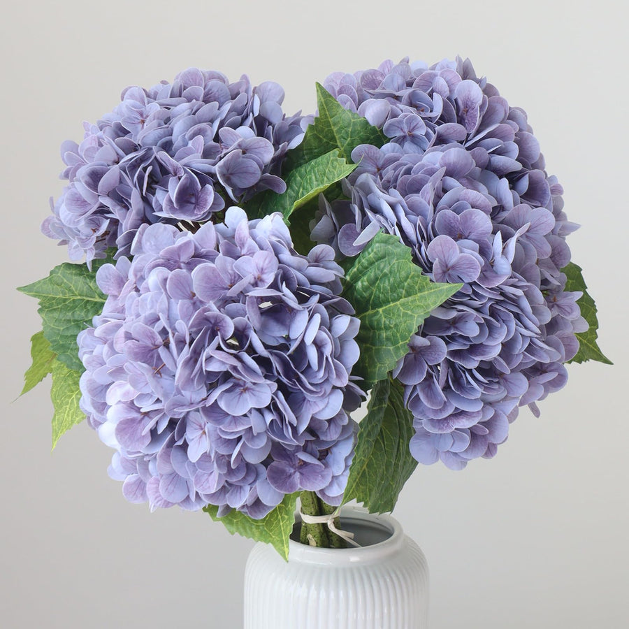 Hydrangea Flower Stems