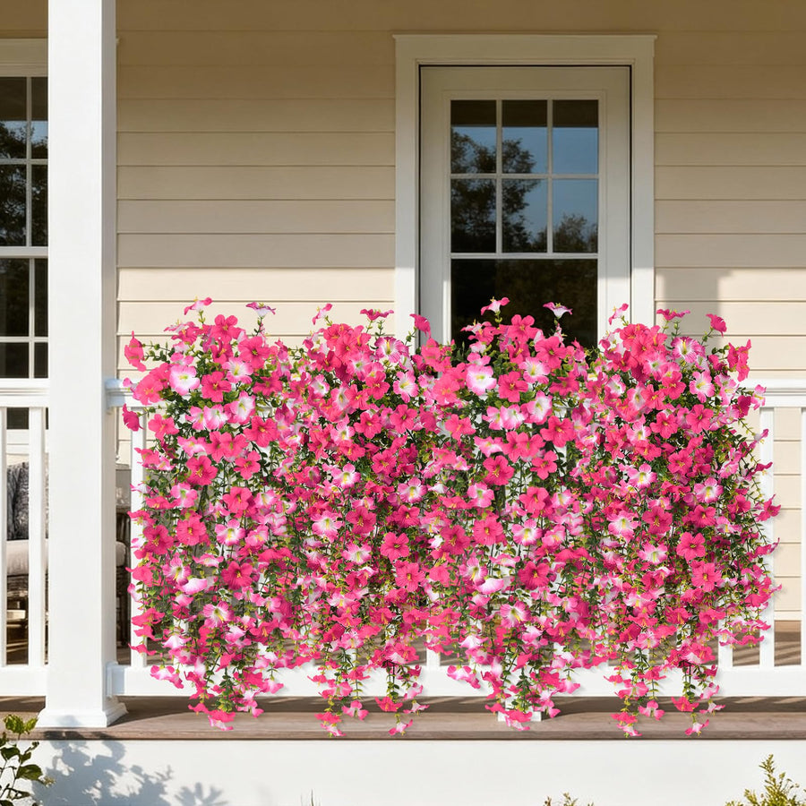Morning Glory Hanging Vines