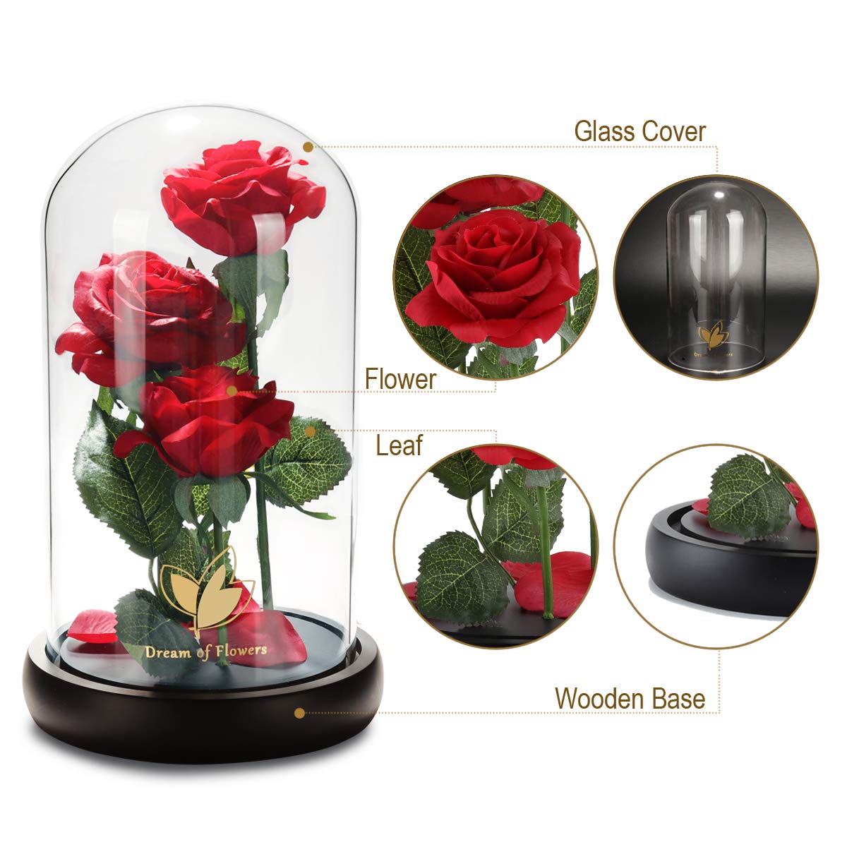 Beauty and The Beast Rose