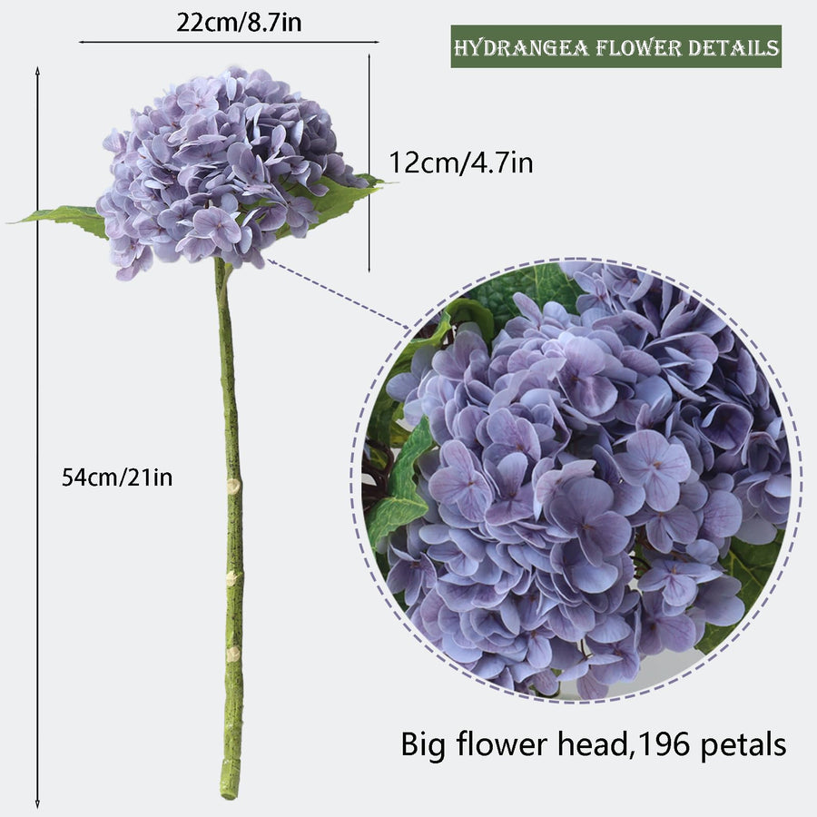 Hydrangea Flower Stems