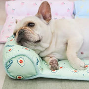 Foldable Pet Cooling Mat