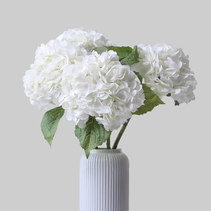 Hydrangea Flower Stems