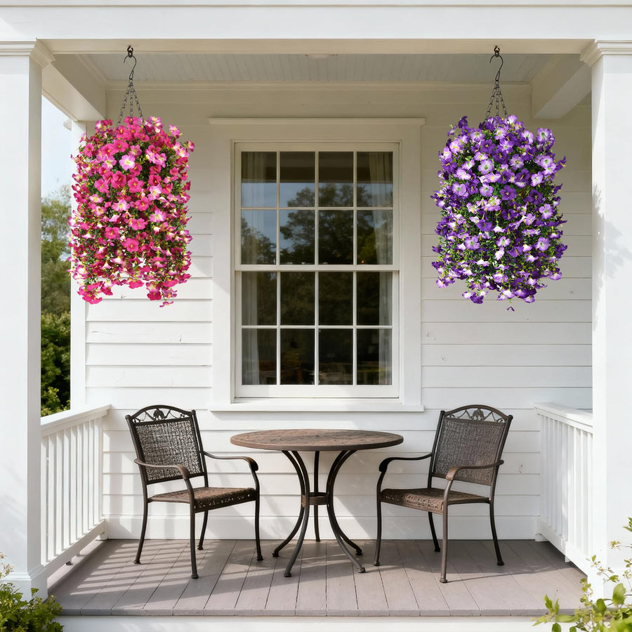Morning Glory Hanging Vines