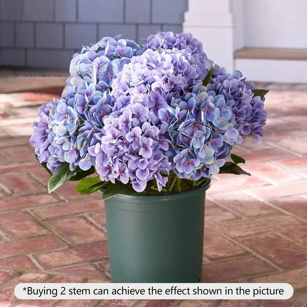 Realistic Outdoor Hydrangea Flowers