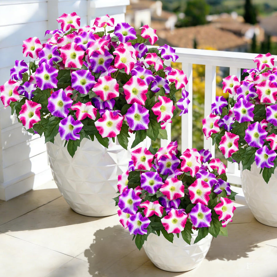 Two-Bundle Outdoor Flower Starter