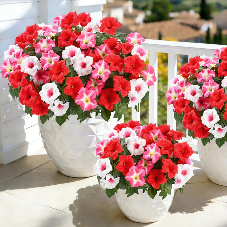 Two-Bundle Outdoor Flower Starter