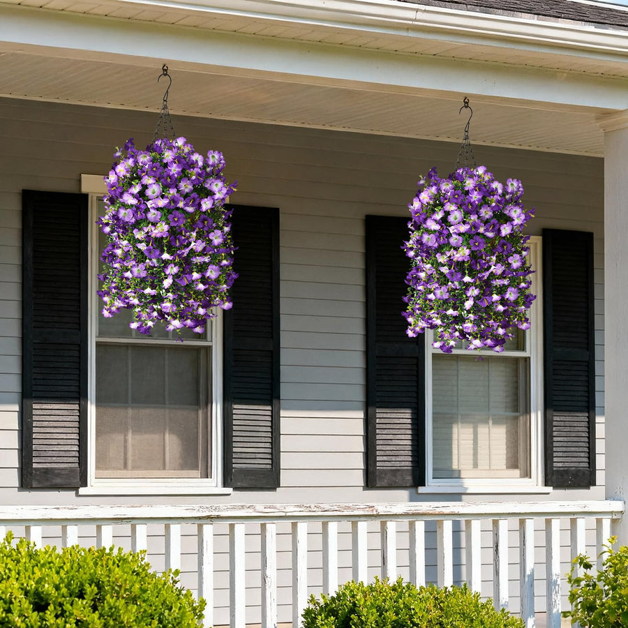 Morning Glory Hanging Vines