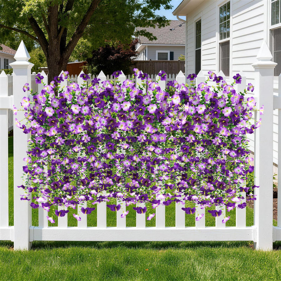 Morning Glory Hanging Vines