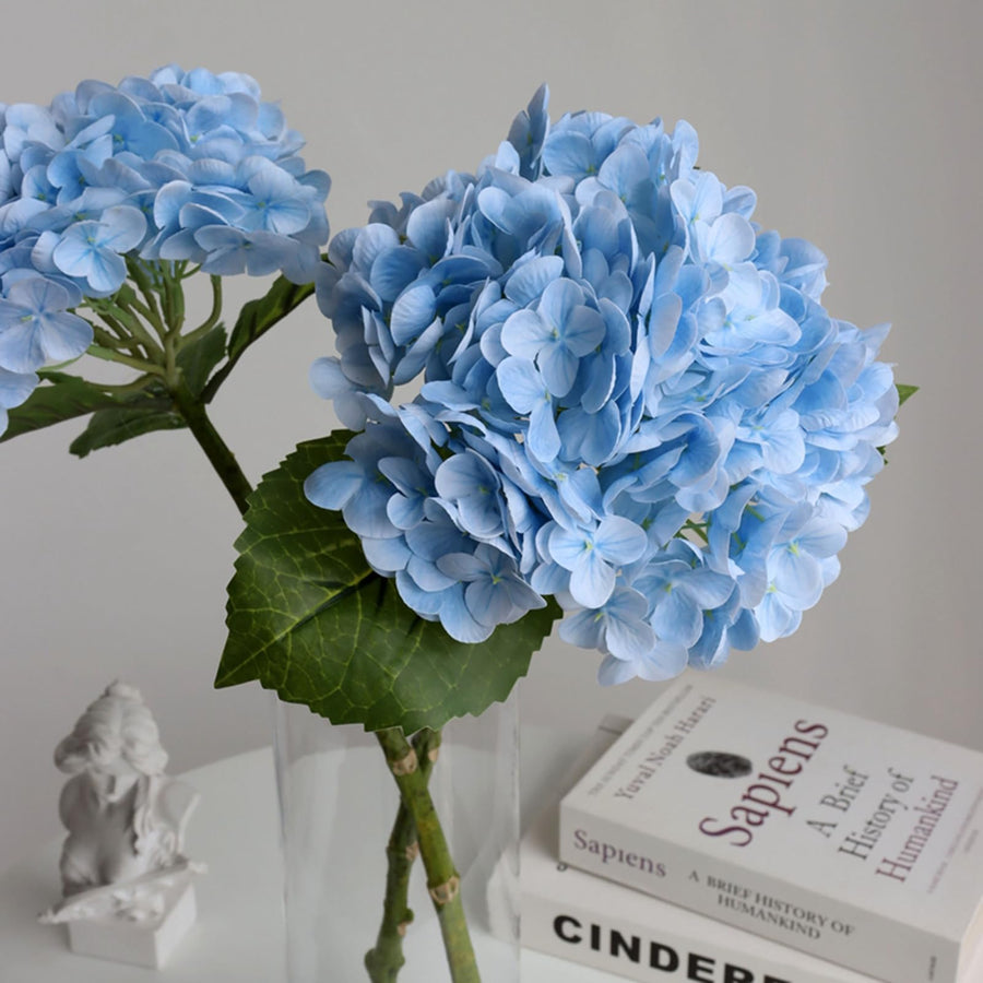 Hydrangea Flower Stems