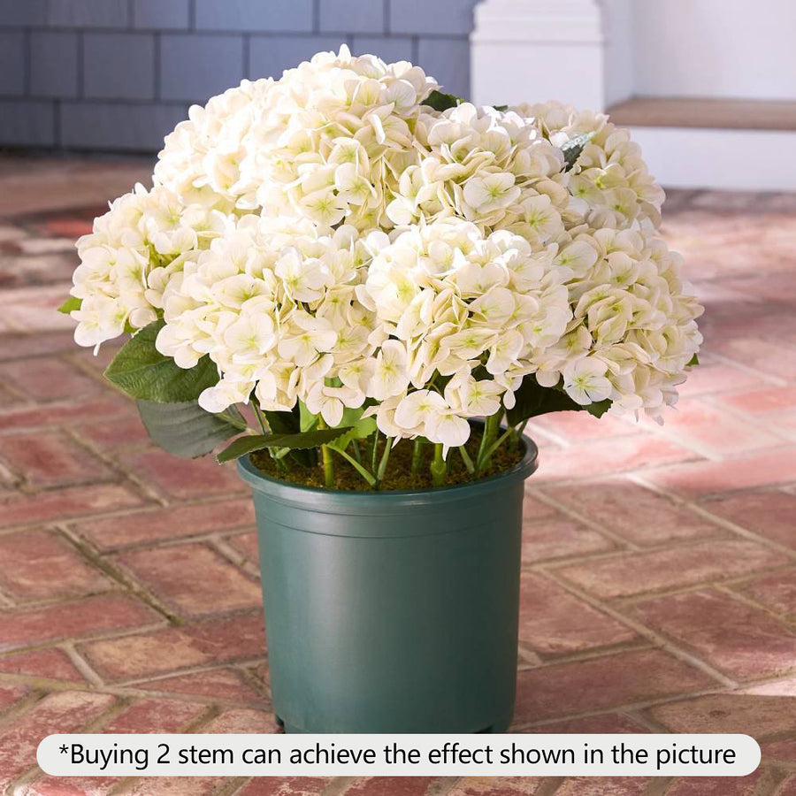 Realistic Outdoor Hydrangea Flowers