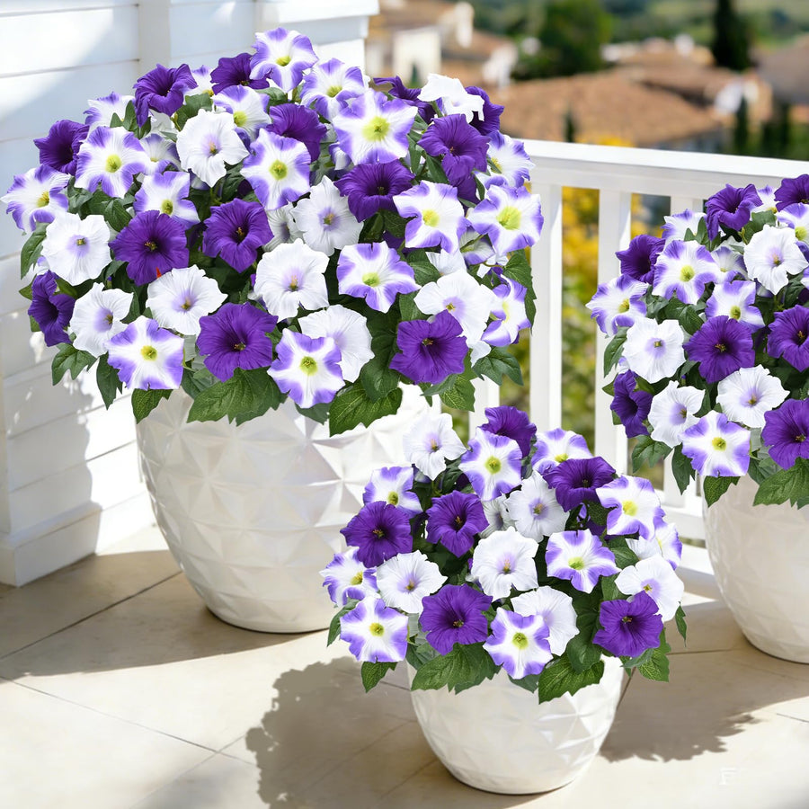 Two-Bundle Outdoor Flower Starter