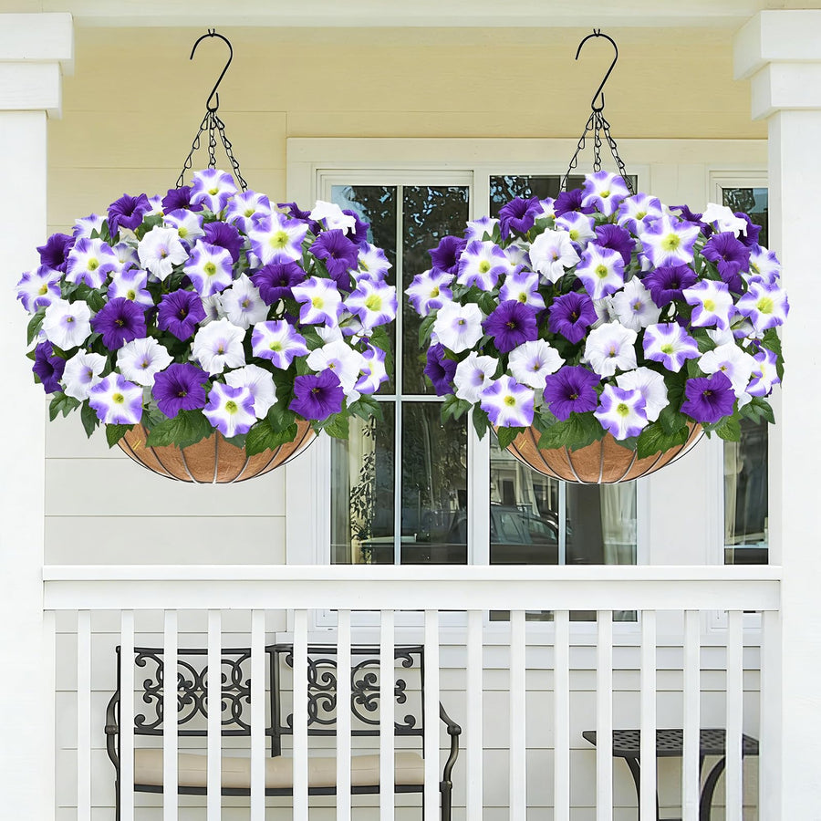 Two-Bundle Outdoor Flower Starter