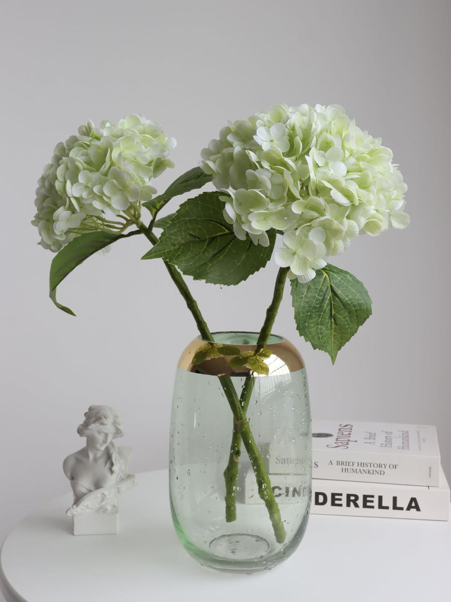 Hydrangea Flower Stems
