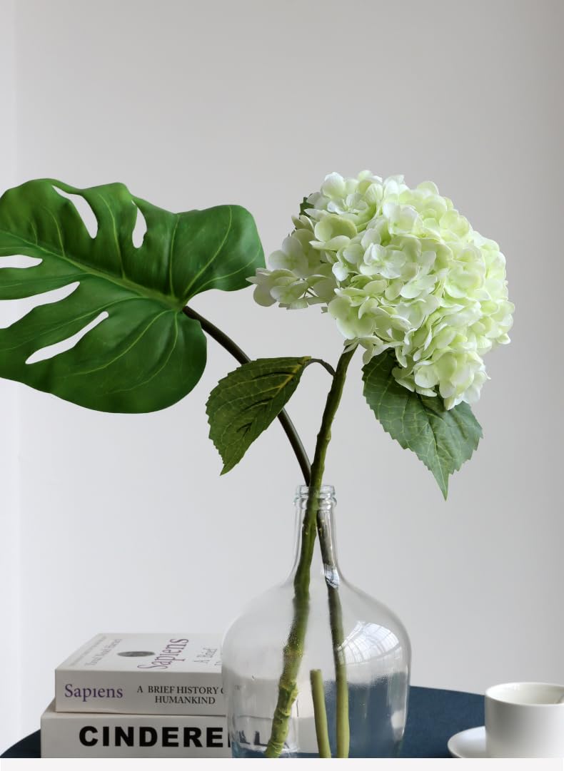 Hydrangea Flower Stems