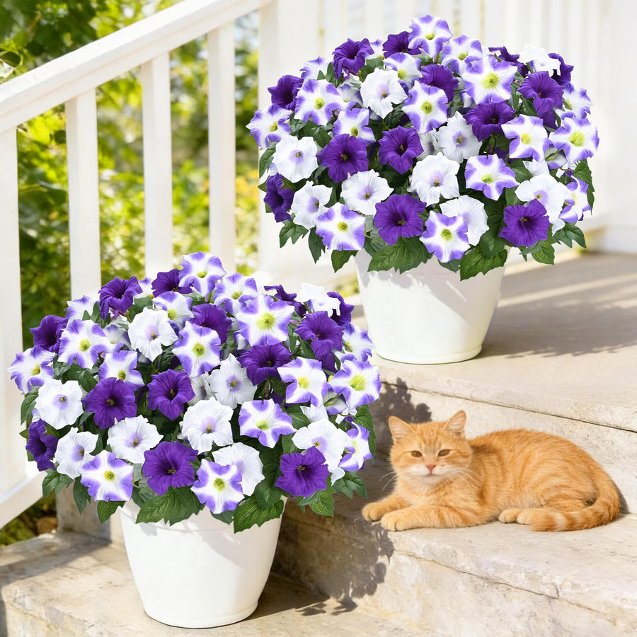 Two-Bundle Outdoor Flower Starter