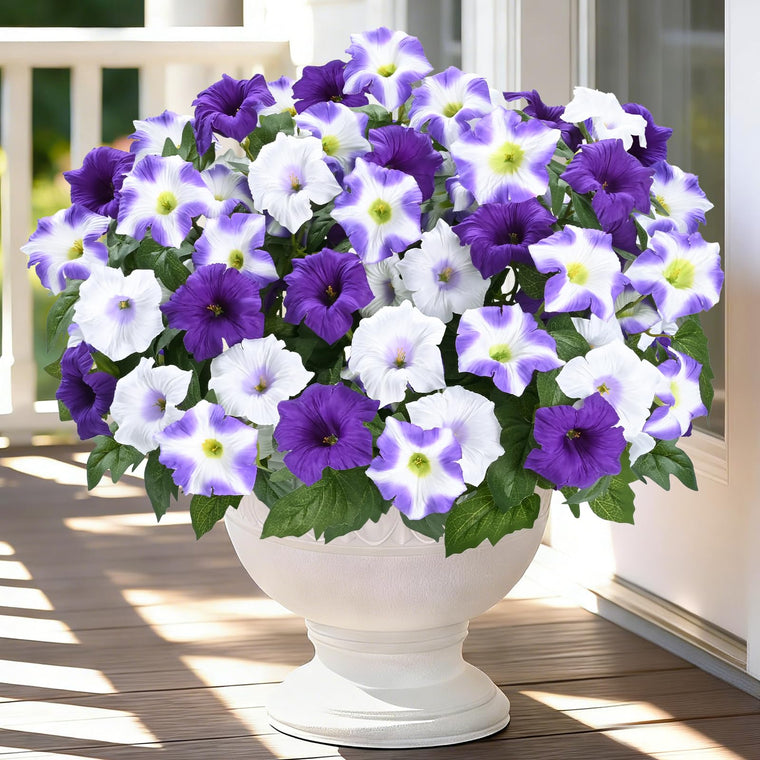 UV-Resistant Morning Glory Flower Bundles