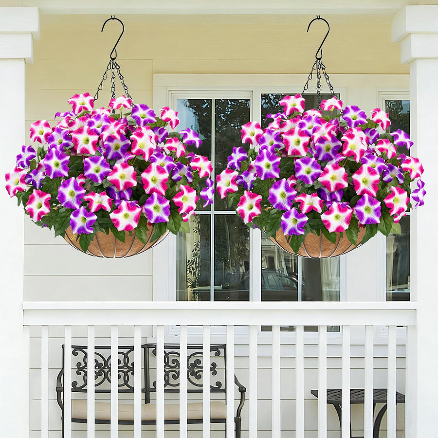 Two-Bundle Outdoor Flower Starter