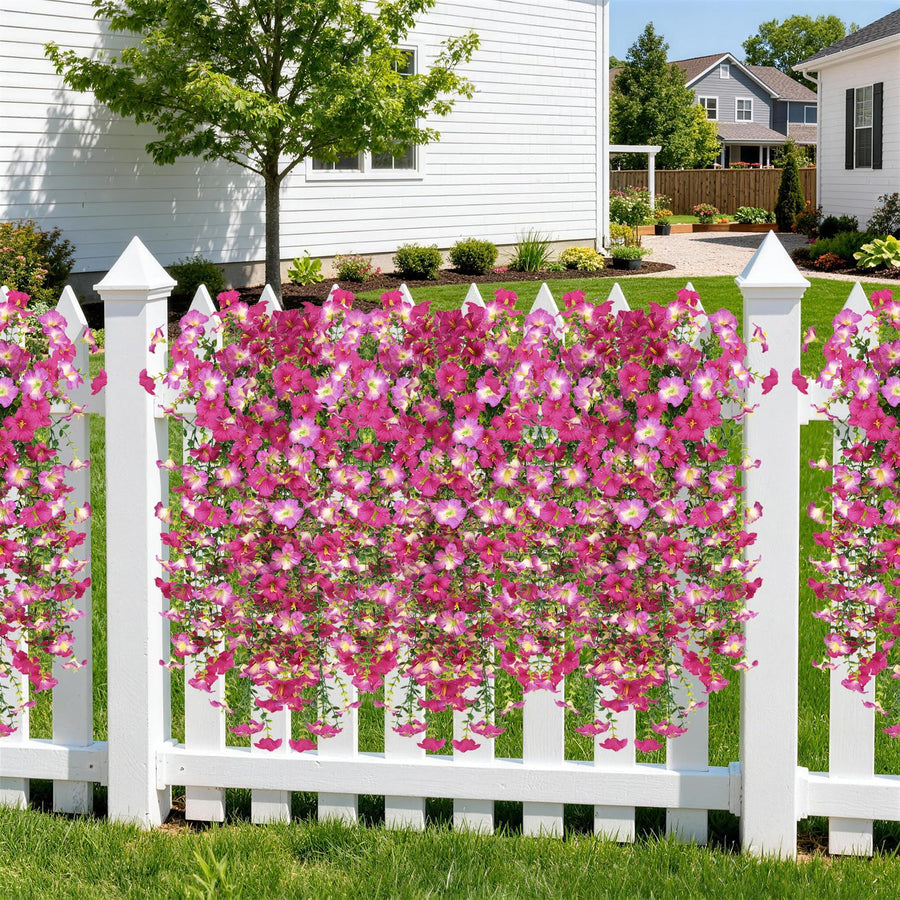 Morning Glory Hanging Vines