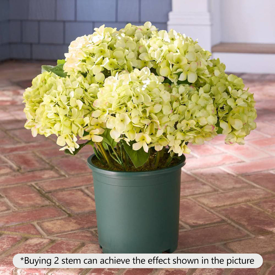 Realistic Outdoor Hydrangea Flowers