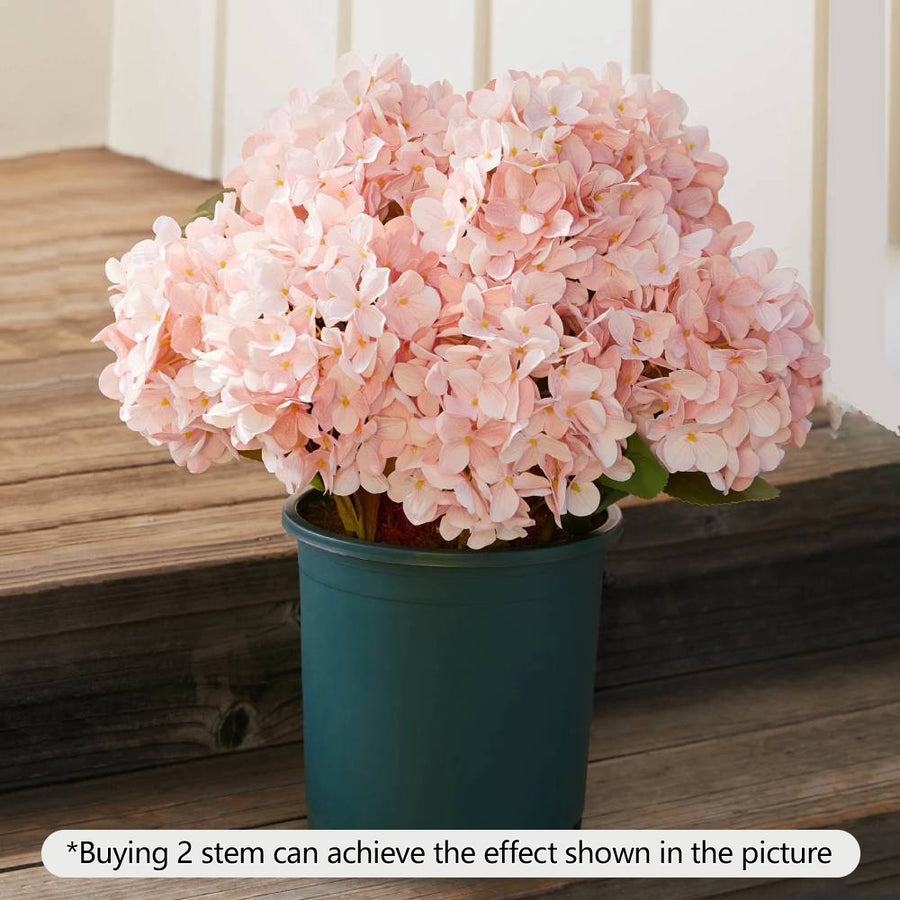 Realistic Outdoor Hydrangea Flowers