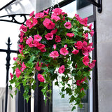 Rose Pink