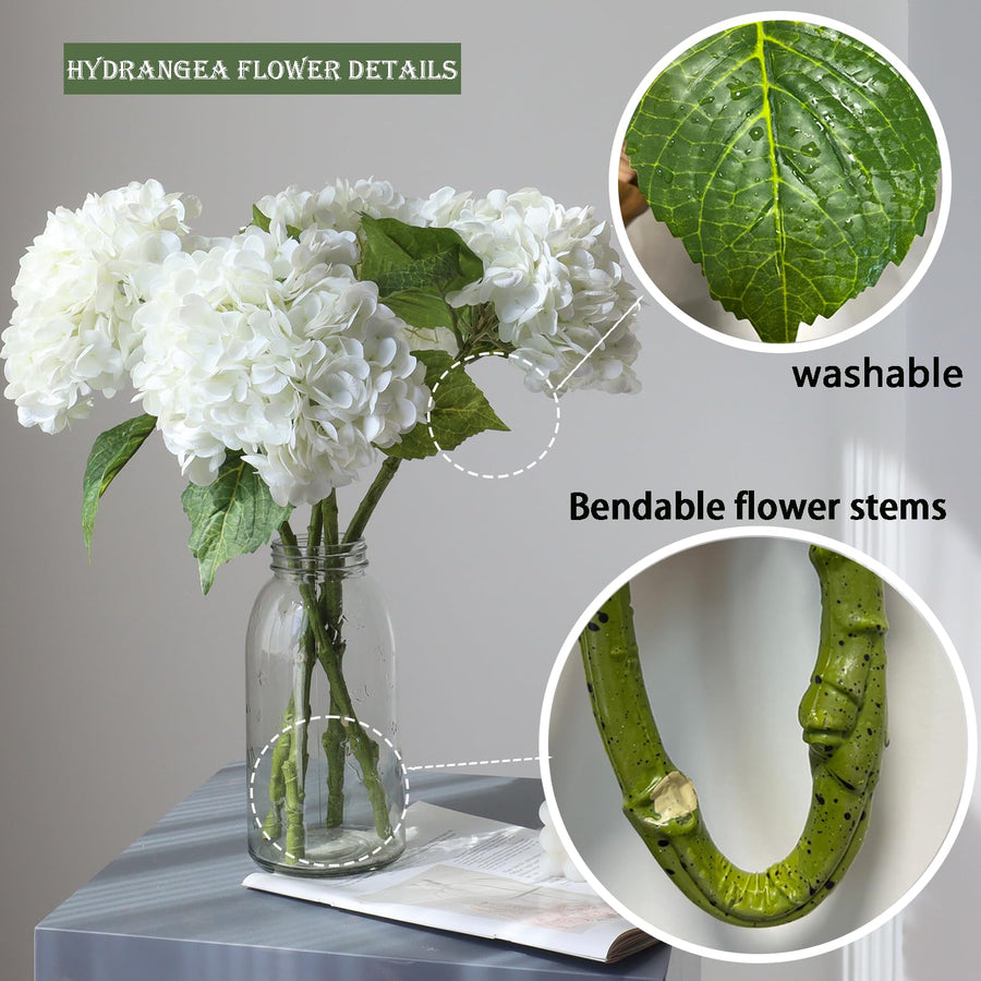 Hydrangea Flower Stems