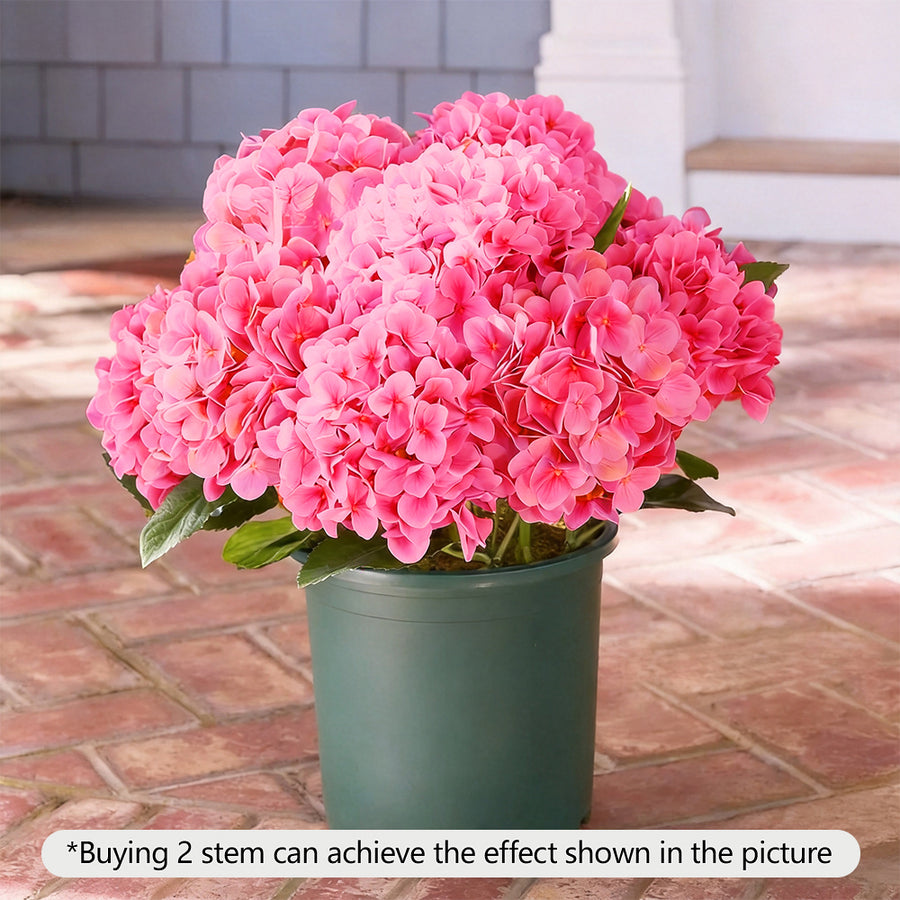 Realistic Outdoor Hydrangea Flowers