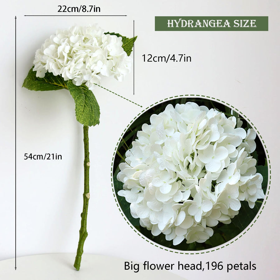 Hydrangea Flower Stems