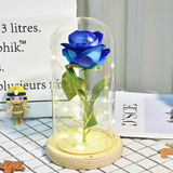Blue Rose