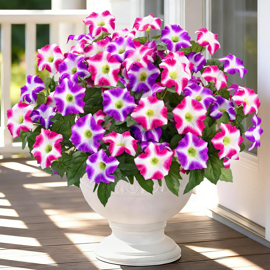 Two-Bundle Outdoor Flower Starter