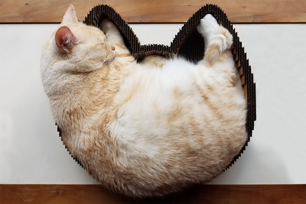 Compact Cardboard Cat Scratcher Bed