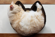 Compact Cardboard Cat Scratcher Bed