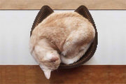 Cardboard Cat Scratcher Bed