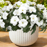 6 Bundles | Garden White
