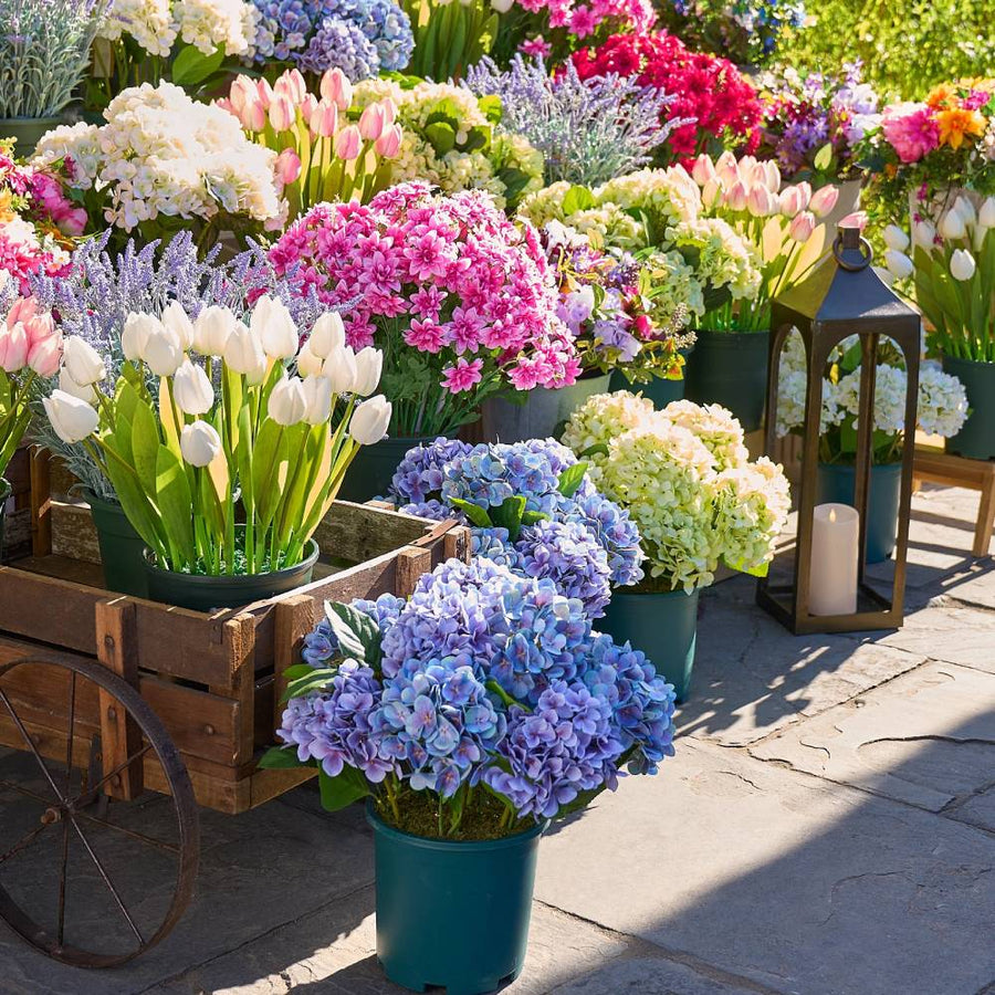 Realistic Outdoor Hydrangea Flowers