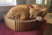 Cardboard Cat Scratcher Bed