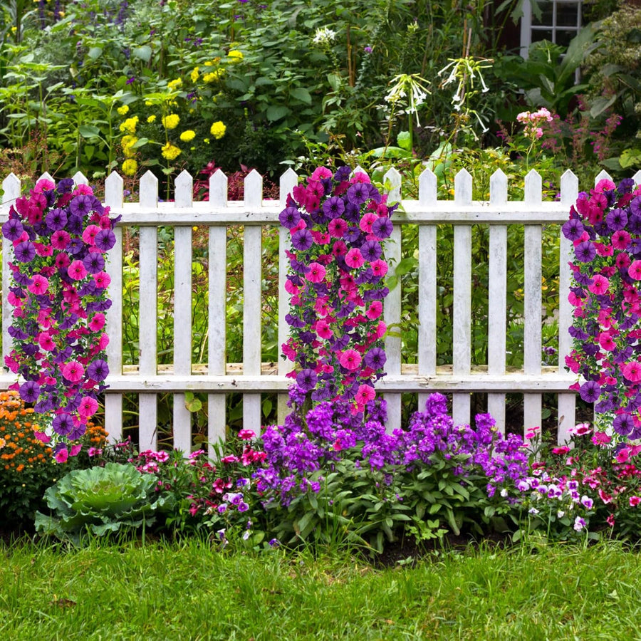 UV-Resistant Morning Glory Vine