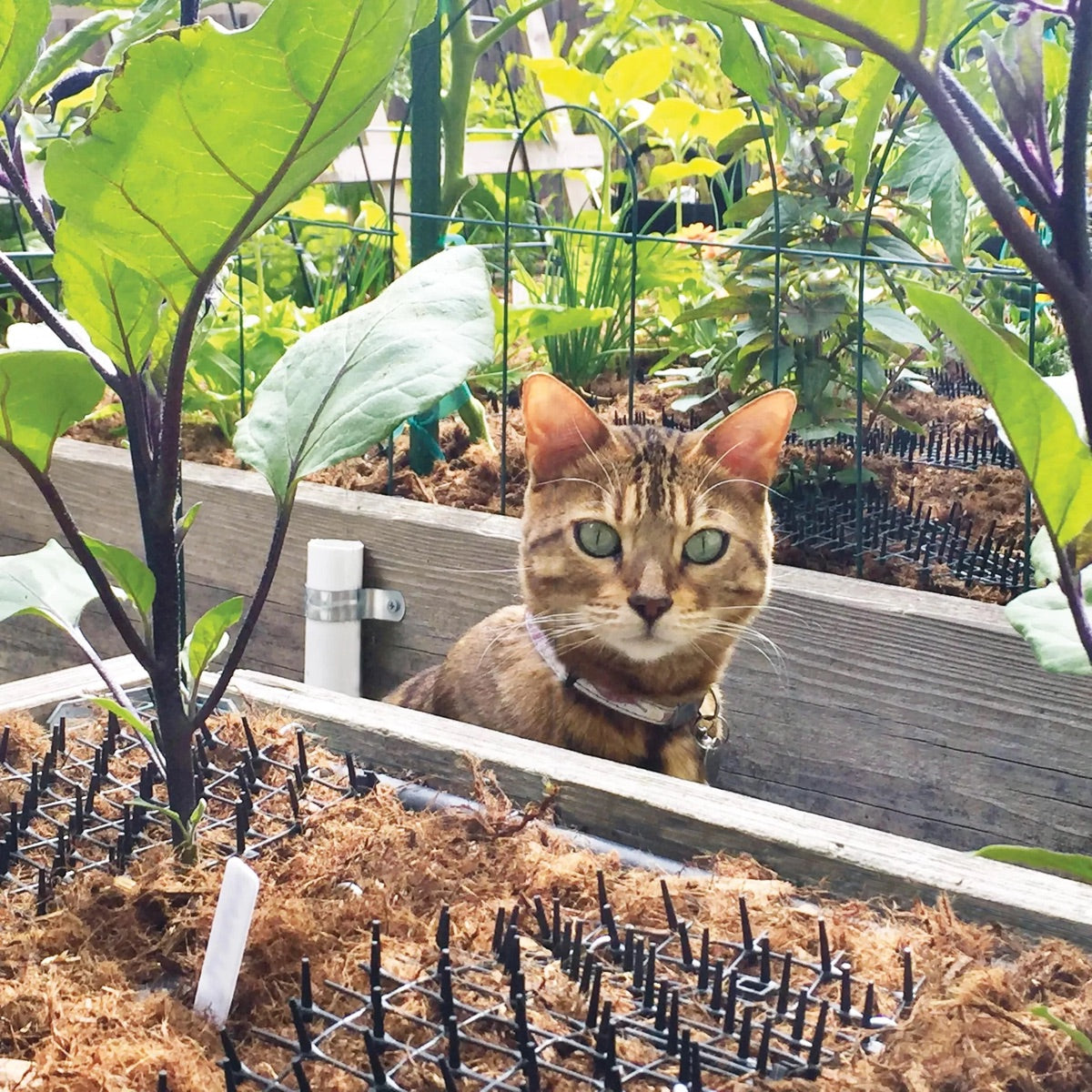 Garden Animal Deterrent Mat