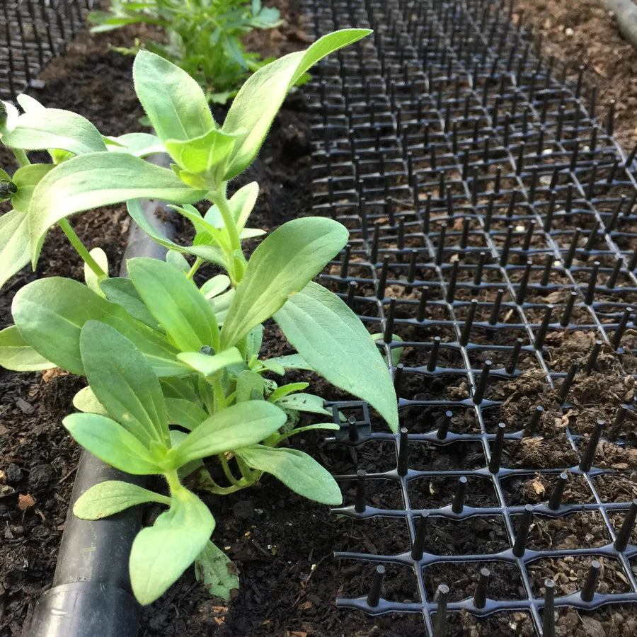Garden Animal Deterrent Mat
