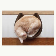 Cardboard cat scratcher bed back view with cat