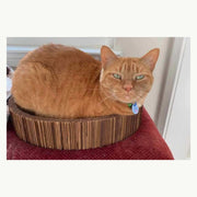 Cardboard cat scratcher bed with orange cat resting inside