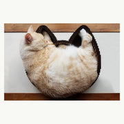 Cat ear shaped cardboard scratcher bed with white cat